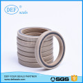 PTFE Spring Energized Seals for Cylinder Seals